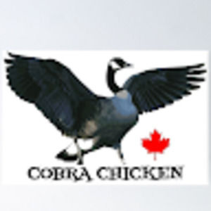 Meet your Posher, Elaine